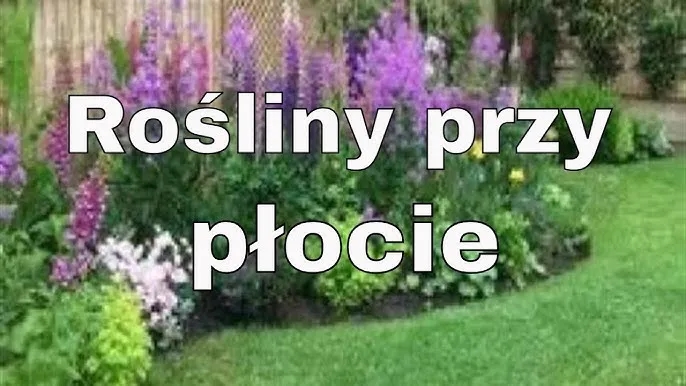 Co posadzić przy płocie z siatki, aby stworzyć piękny ogród?