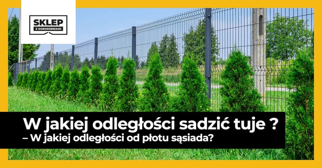 Ile od płotu sadzić tuje, aby uniknąć błędów w ogrodzie?