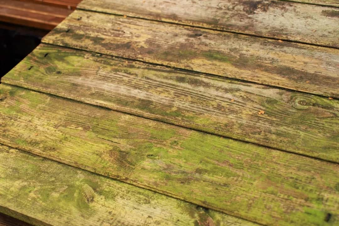 Jak usunąć zielony nalot na drewnianym płocie – skuteczne metody czyszczenia