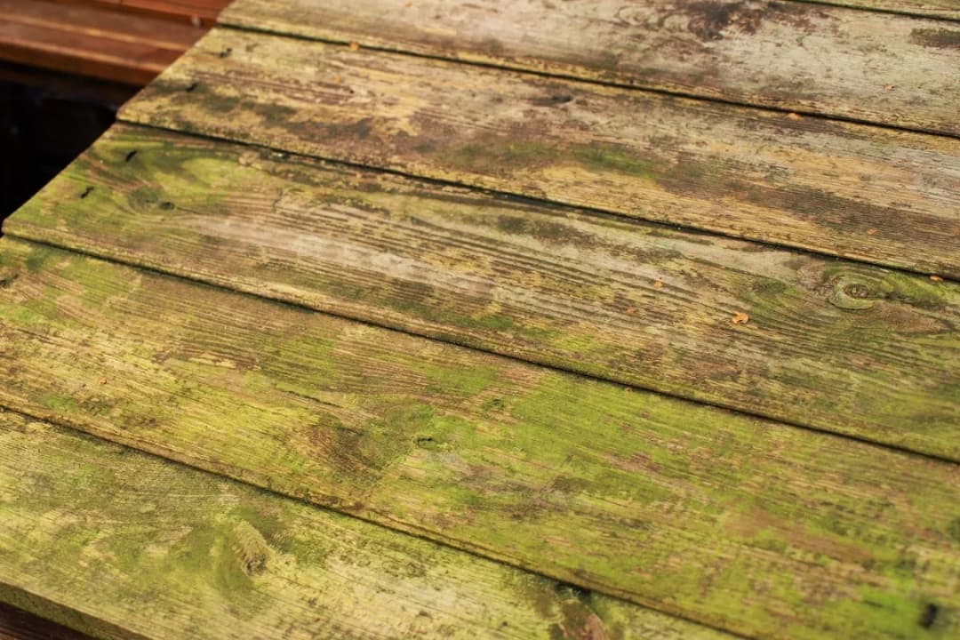 Jak usunąć zielony nalot na drewnianym płocie – skuteczne metody czyszczenia