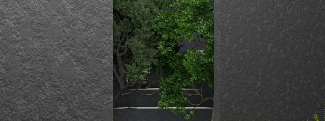 Jak zamaskować betonowy płot? 5 skutecznych sposobów na poprawę wyglądu